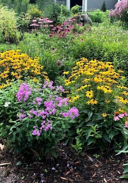 St. Paul, MN Gardening & Sustainable Landscaping Companies