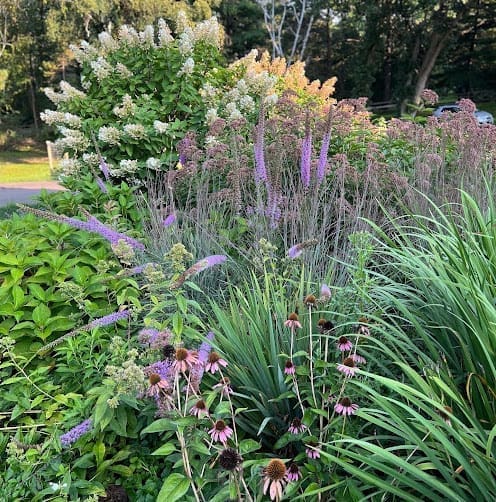 St. Paul, MN Sustainable Landscaping Company