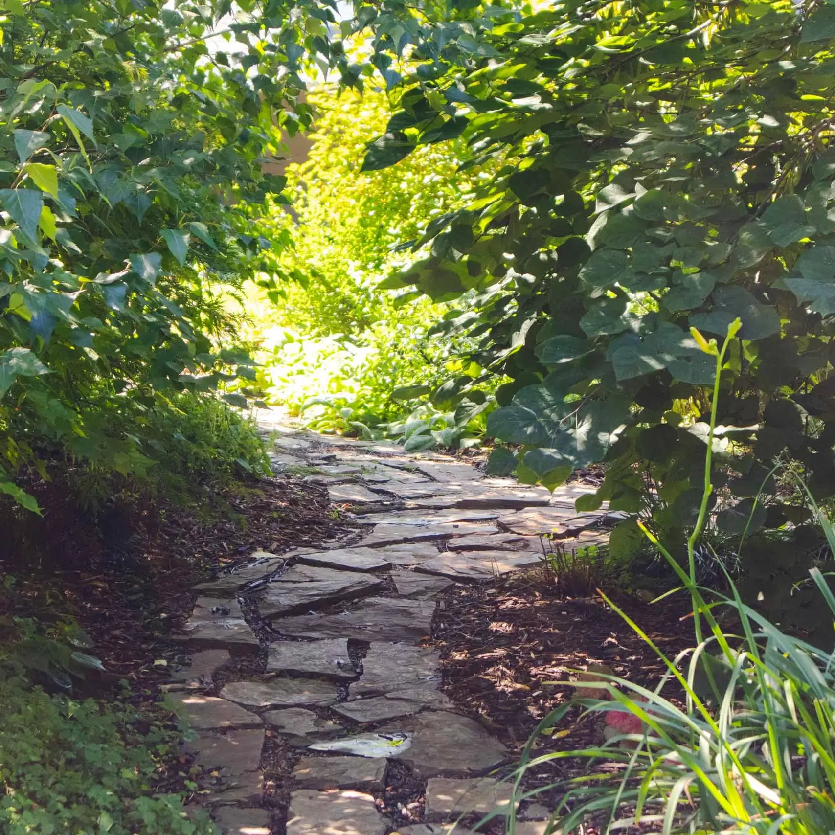 Eden Prairie, MN Sustainable Landscaping Services