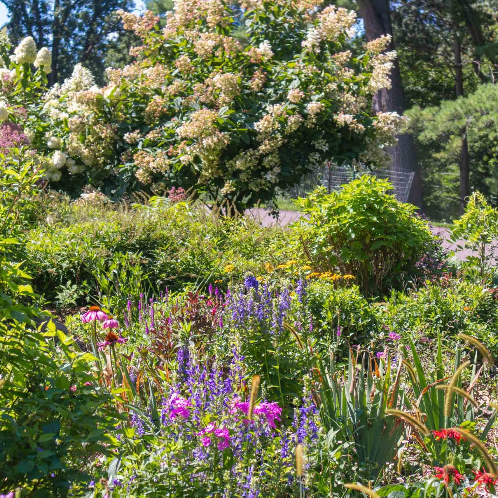 Minnetonka, MN Garden Design