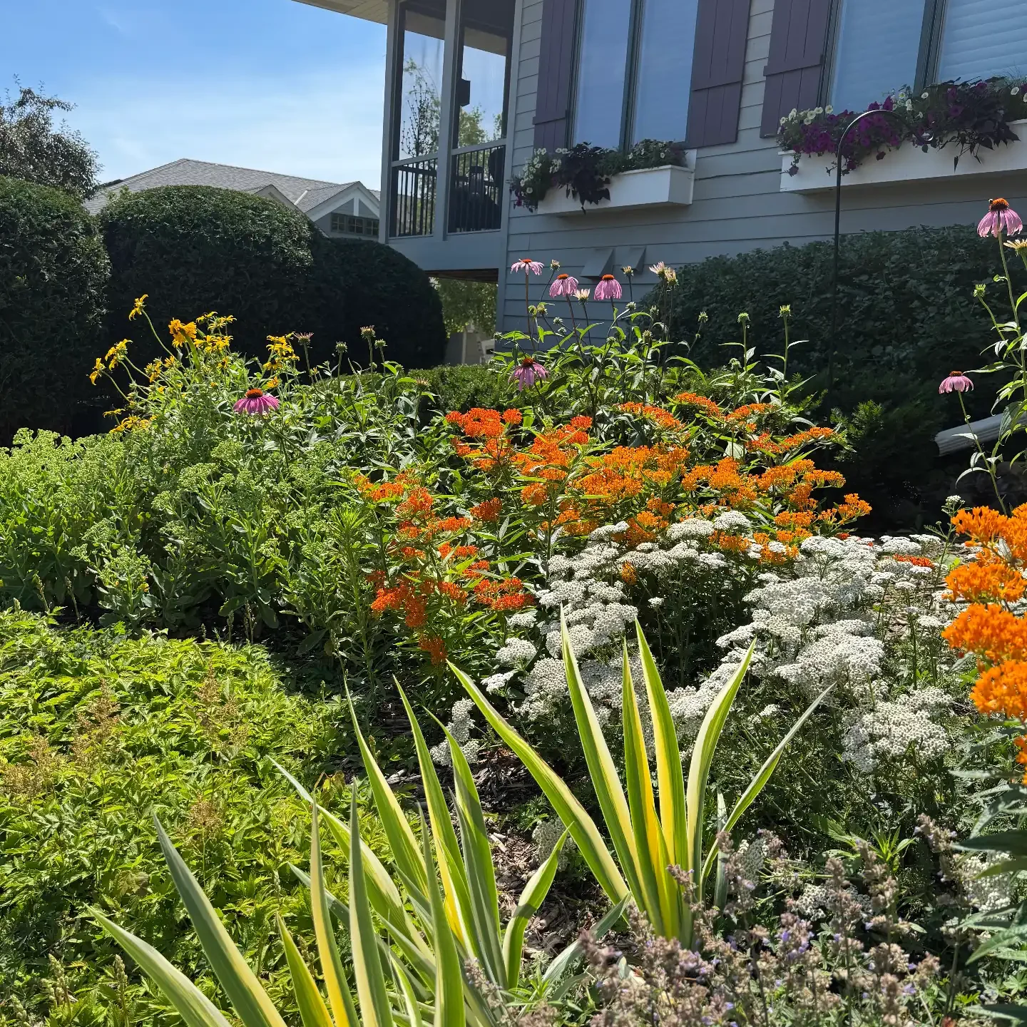 Plymouth, MN Garden Design